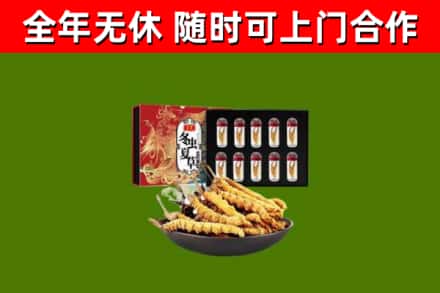 海北回收冬虫夏草价格